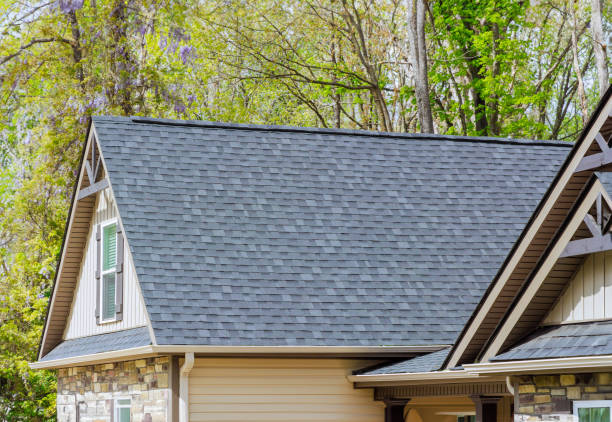 Roof Moss and Algae Removal in Spencerport, NY